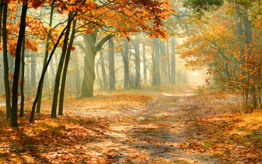 1113848 (a): :2880x1800